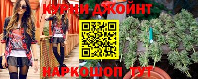 a pvp Гатчина