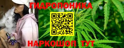 амф Гай