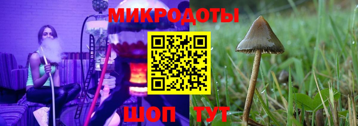Псилоцибиновые грибы ЛСД Нальчик